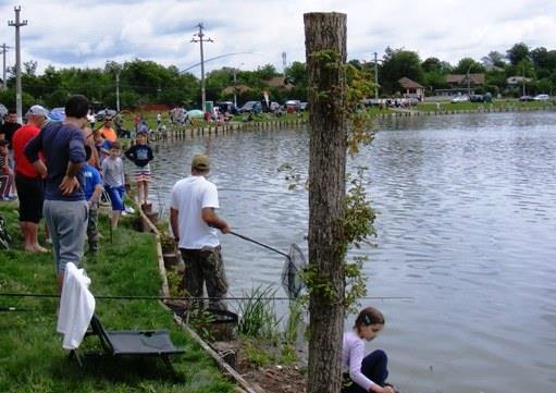 Hermes-Peris Cupa Juniorilor 01.06.2014  - dscf1010.JPG